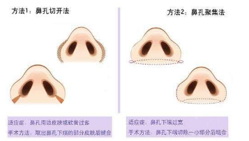 ������С